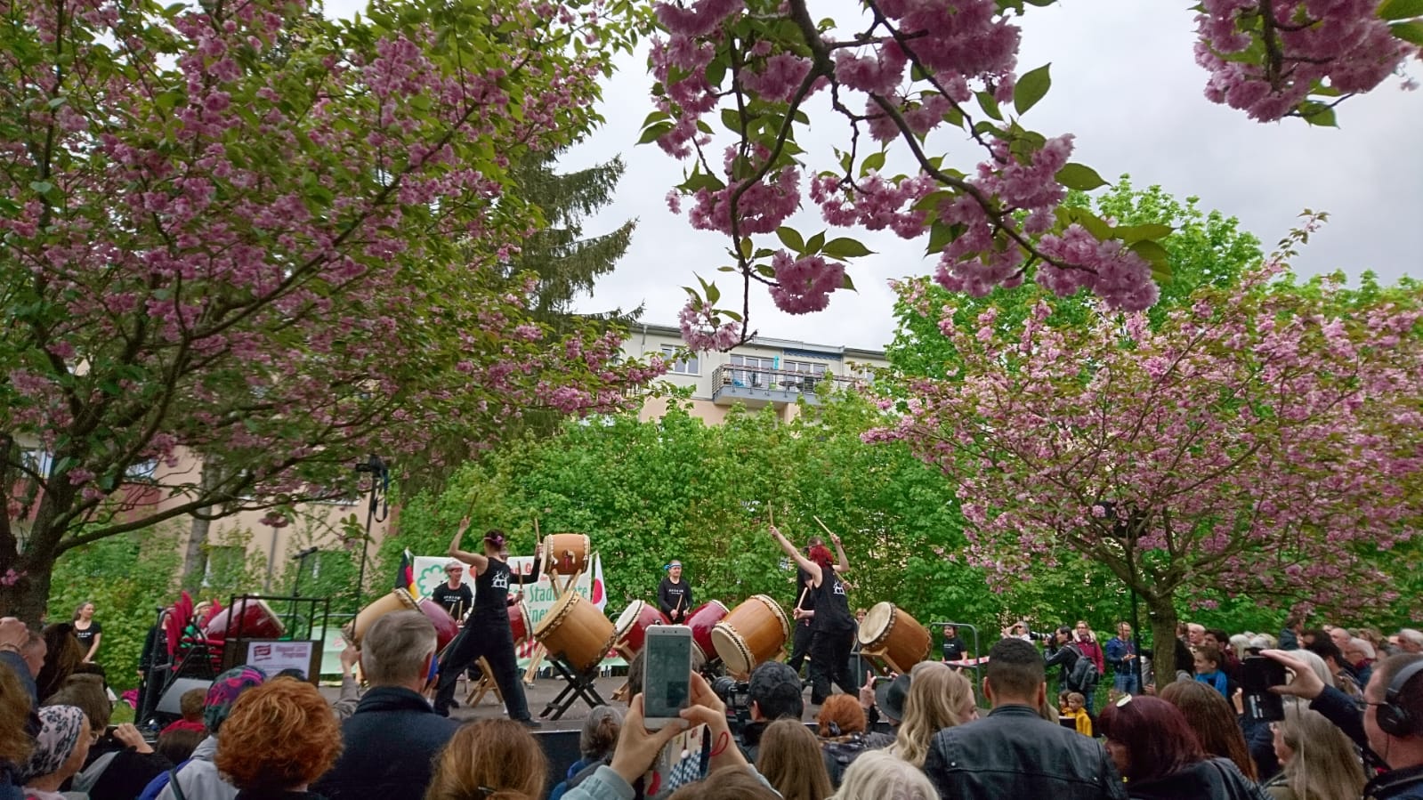 Hanami Teltow5